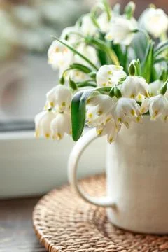 Spring composition with snowdrops in a cup, close-up. Stock Photos