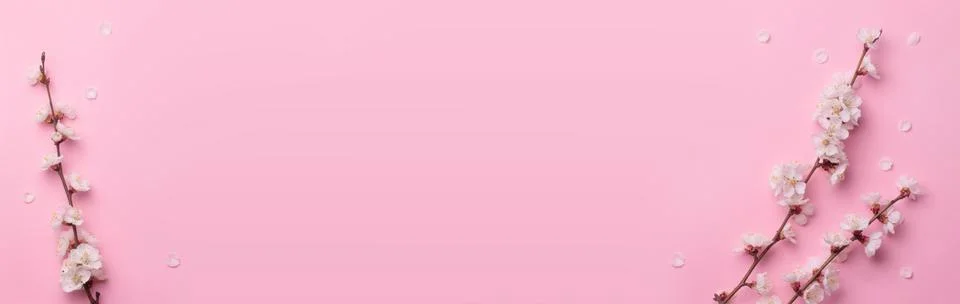 Spring composition of the twigs of flowering trees on a pink paper background. Stock Photos