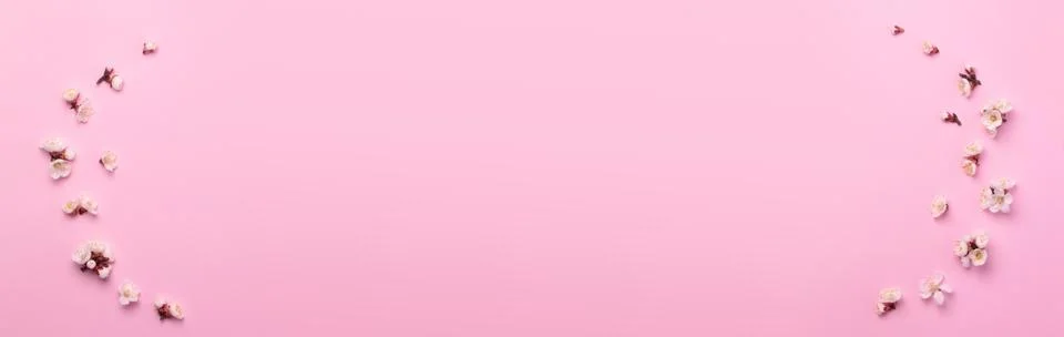 Spring composition of the twigs of flowering trees on a pink paper background Stock Photos