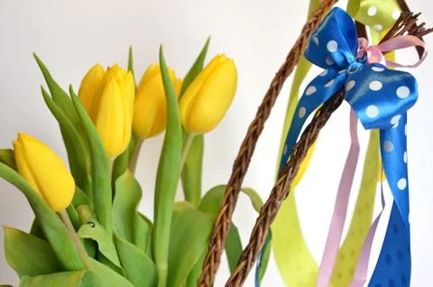 Spring composition: two easter whips with bunch of yellow tulips Stock Photos