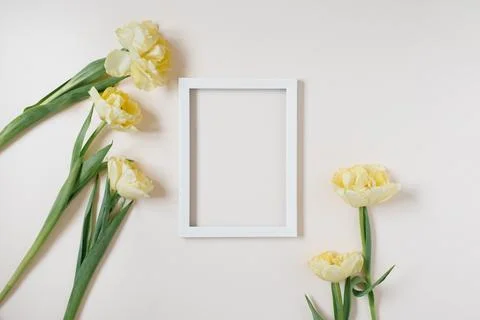 Spring composition. yellow flowers tulips, photo frame on light background... Stock Photos
