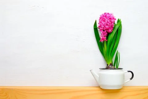 Spring concept background Stock Photos