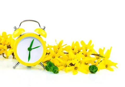 Spring concept with clock and yellow flowers Stock Photos