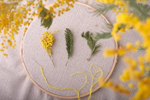 Spring concept of creativity and needlework. As if embroidered with yellow .. Stock Photos