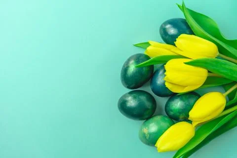 Spring concept with Easter eggs and yellow tulips on turquoise green background Stock Photos
