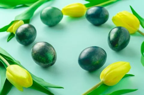 Spring concept with Easter eggs and yellow tulips on turquoise blue background. Stock Photos