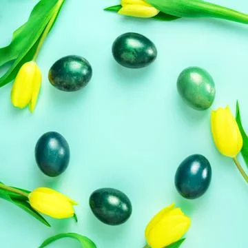 Spring concept with Easter eggs and yellow tulips in circle on turquoise blue Stock Photos