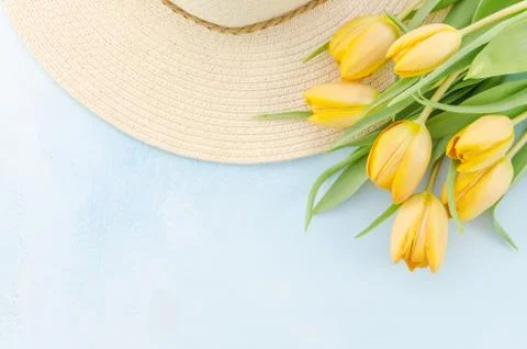 Spring concept. Hat and yellow tulips over pastel blue background, copy space Stock Photos