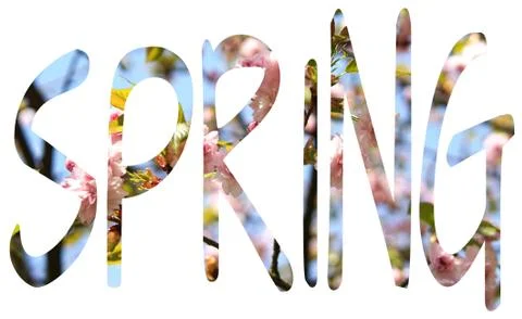 Spring concept, letters SPRING of flowers. Stock Photos
