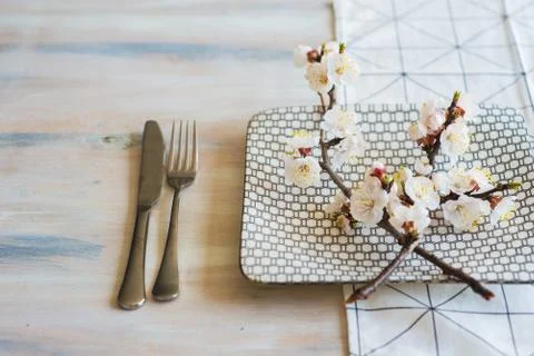 Spring concept with peach blooming Stock-Fotos