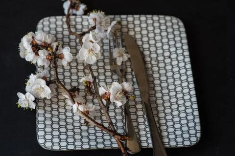 Spring concept with peach blooming Stock Photos