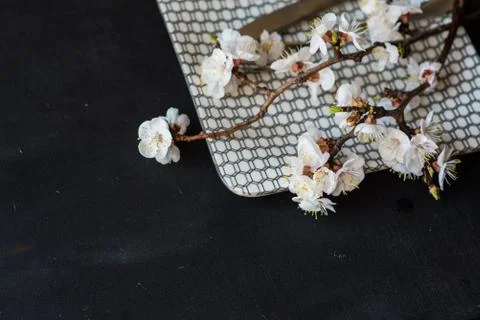 Spring concept with peach blooming Stock Photos
