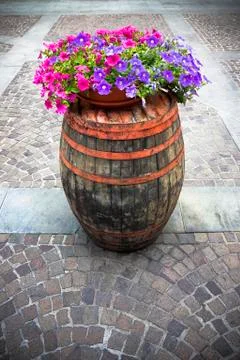 Spring concept Stock Photos