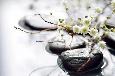 Spring concept Stock Photos