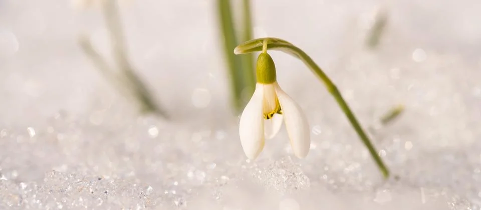 Spring concept Stock Photos