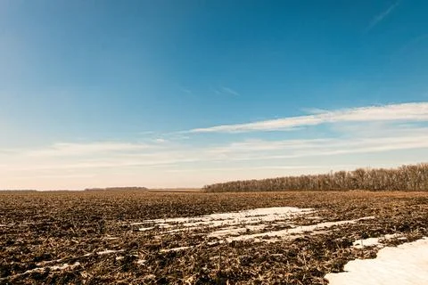 Spring counterside landscape. Field with thawed snow under a sunny blue sky. Stock Photos