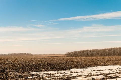 Spring counterside landscape. Field with thawed snow under a sunny blue sky. Stock Photos