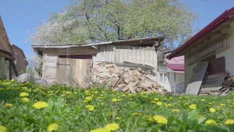 Spring in the countryside Stock Footage 243186722