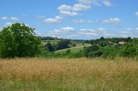Spring countryside landscape Stock Photos