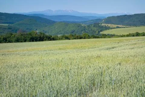 Spring countryside Stock Photos