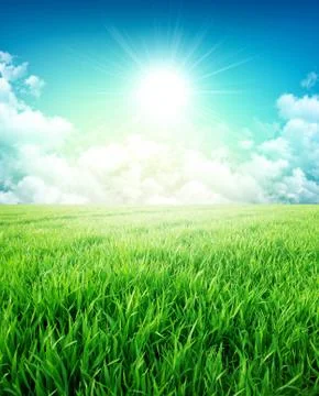 Spring countryside sensation Stock Illustration
