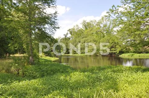 Spring County Pond Stock Photos