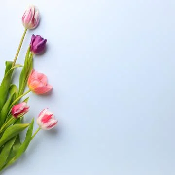 Spring creative background with floral decor Stock Photos