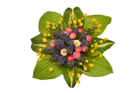 Spring creative bouquet of flowers isolated on white background. Flat lay, .. Stock Photos