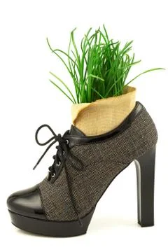 Spring creative concept with fresh grass and boot with high heel Stock Photos