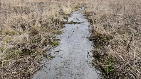 Spring creek in the field Stock-Footage 130640776