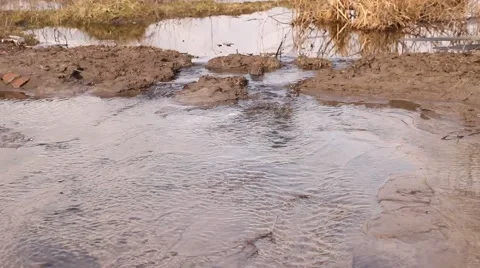 Spring creek, flood Vídeos de archivo 62865470