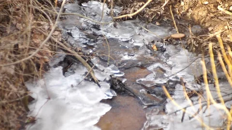 Spring creek Stock-Footage 36078861