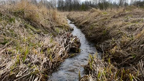 Spring creek Stock Footage 130640768