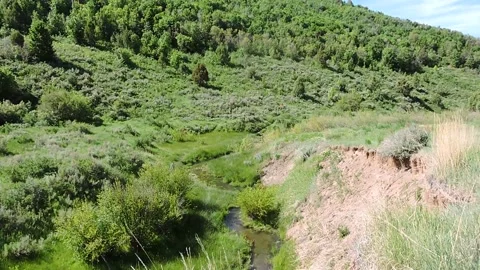 Spring Creek Stock Footage 149802620