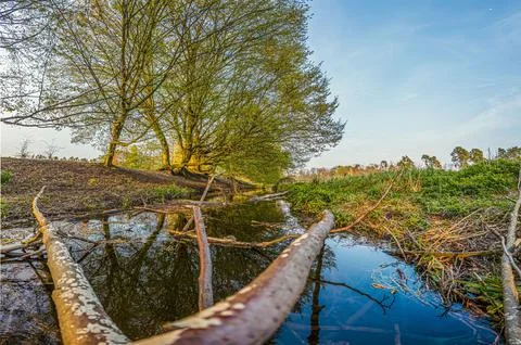 Spring creek landscape with dramatic clouds Germany Stock-Fotos