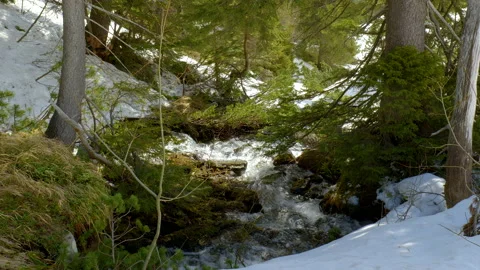 Spring creek in the mountains Stock Footage 155015638