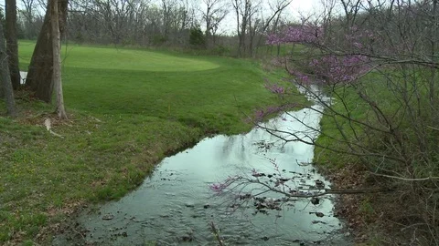 Spring creek tree blossoms Video stock 74774388