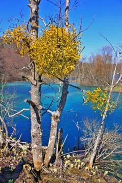 Spring in Croatia Stock Photos