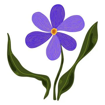 Spring crocus in flat style, hand drawn, cartoon style. Vector clipart Stock Illustration