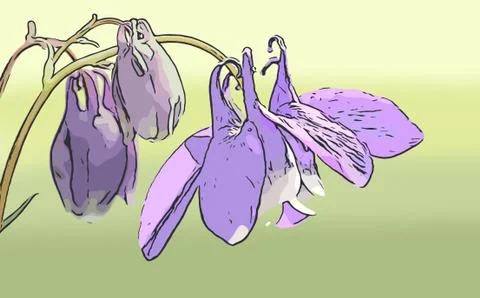 Spring Crocus Flowers, Vector Illus Stock Illustration