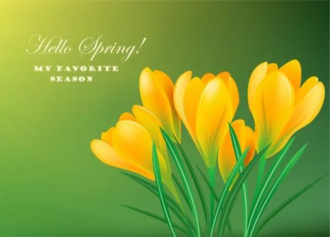 Spring crocuses Stock Illustration