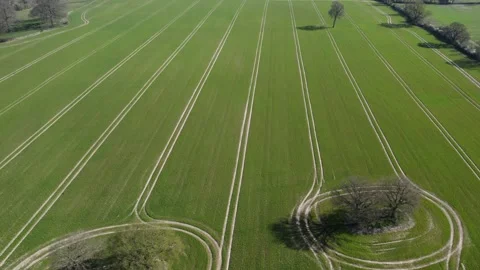 Spring Crop Field Aerial View Agriculture Farmland Trees Pattern Lines Stock Footage 232564946