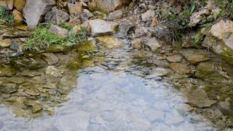A spring of crystal clear cold water outdoors in the summer Video stock 91638433