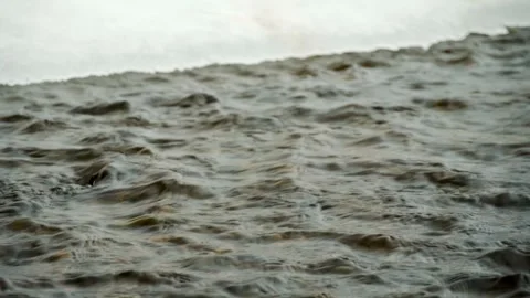 The spring current of a freshwater mountain river. Spring. Stock Footage 306040211