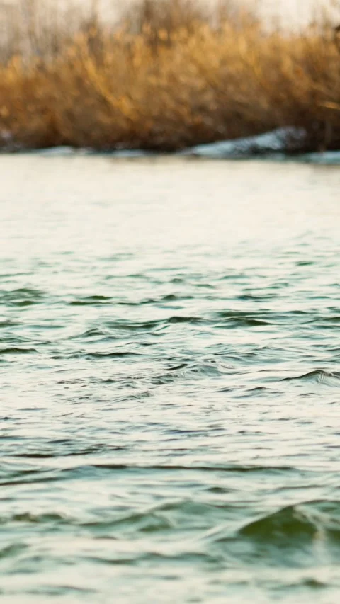 Spring. The current of a freshwater river. Spring melting of snow and ice. Stock Footage 331443216