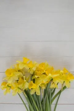 Spring daffodil flowers Top view Stock Photos