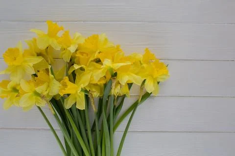 Spring daffodil flowers Top view Stock Photos