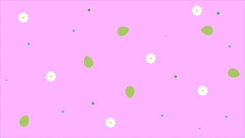 Spring daisy flowers and leaves Stock Footage 104018971