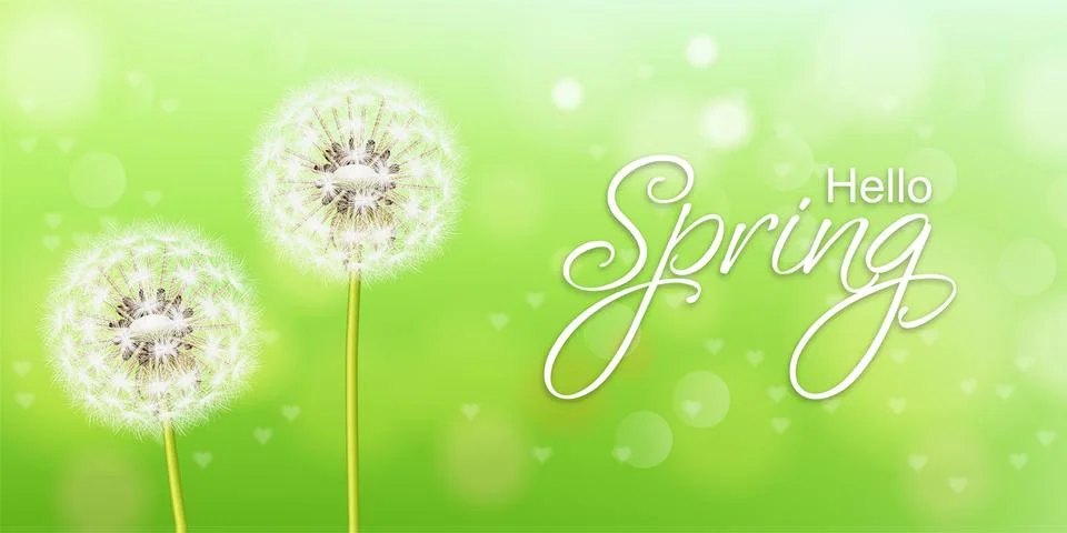 Spring dandelion flower Vector realistic. Green background soft bokeh illustr Stock Illustration