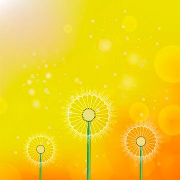 Spring Dandelion Sun Background Ilustración de archivo
